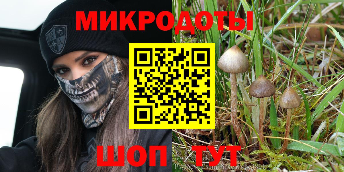 Чусовой  Галлюциногенные грибы GOLDEN TEACHER  Галлюциногенные грибы ЛСД  Вход с VPN 